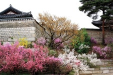 숭문당 엎 화계 | 역사