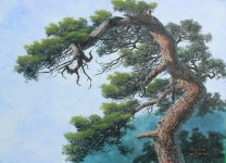 한지그림에 있는 SoonOk Lim님의 핀 | 자연 사진, 풍경 그림, 풍경 스케치
