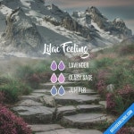 Aroma에 관한 625개의 최상의 Pinterest 이미지 | 에센셜 오일, 도테라 에센셜 오일 및 요리법 Aroma
