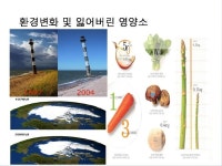 우리는 환경변화 및 잃어버린 영양소로 우리의 몸은 점점 안좋은... 관절염,우울증,AIDS,치매,파킨슨병,자폐증,골다공증,동맥경화 등의... 