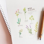 색연필 1 (colored pencil)에 있는 핀