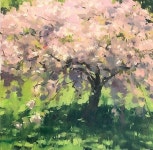 Pin by Studio jb on 유화 아크릴화 중급 | Landscape paintings, Light art, Artist