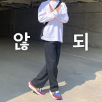 혜안에 있는 핀
