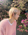 제이끌레르 헤어살롱(J.claire hairsalon) | Pin by ✨Rolemodel✨ on ⭐️JWiiver 제이위버 | Hair inspo color, Hair inspo, Hair