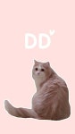DD 둔둔이❤ #wallpaper #Creamheroes #dd | Kucing, Hewan