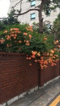 Pin page 오늘음악배경에 있는 이은진님의 핀 | 미적 배경, 자연 미학, 자연 사진