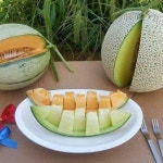 #고창흙쟁이 #고창상하농원 #고창하얀농장 #고창메론 #메론 #직거래판매 #하얀농장 네이버 고창하얀농장 검색하세요