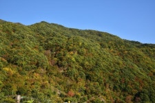[구례여행] 가을, 지리산 피아골로 떠나는 가을 단풍여행 | Outdoor, Island, Nature