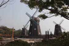 제주도 중문 제주도롯데호텔 호텔 내부 수영장 앞 풍차