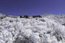 겨울철 한라산에 가야 하는 이유를 보여주는 영실코스 | Natural landmarks, Landmarks, Outdoor