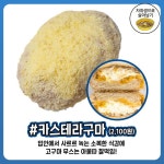 파바 알바생이 말하는 파리바케트 역대급 빵 추천 | 자취생으로 살아남기 | 음식, 요리, 빵