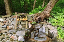 피서지인 약수터 여행지 3곳 “산도 보고 약수도 마시고!”… 여름철 최고의 피서지인 약수터 여행지 3곳 in 2024 | Trip, Travel, Spring