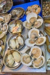 “돈 되는데 뭐가 문제?” 일본산 가리비 속여 판 업자…소비자는 ‘날벼락’