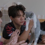 Boyfriend material  // #Lucas #WongYukhei #루카스 #黄旭熙 #nct #WayV #SuperM in 2020 | Lucas nct, Nct, Nct 127