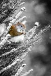 Pets N Animals에 있는 Philip Cho님의 핀 | 동물