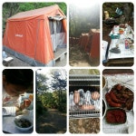 과천 자연캠핑장 다녀 왔어요~