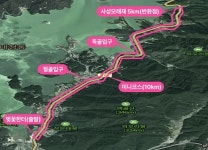 대청호 벚꽃길 마라톤 2026 접수 일정 문의 코스 참가 신청 안내