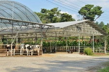 Pin page 대원희 목장 | 목장