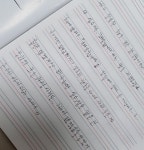 명원(?)에 있는 낭! 다님의 핀 - 2022