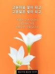마음이 고운 당신