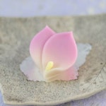 화과자에 있는 박시숙님의 핀 - 2021