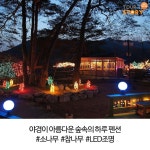 자연이 빚은 아름다움 속 여유로움 횡성 숲속의 하루