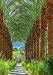Forest에 관한 240개의 최상의 Pinterest 이미지 | 나무 위의 집, 숲 및 아름다운 장소 Forest