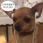 노래 왜 들을게 하나도 없냐