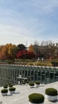 이화여자대학교 Ewha Womans University 서울특별시 서대문구 이화여대길 Seoul, Korea ©️ only_for_ganzii