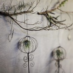 De fer에 있는 Penty de Val님의 핀 - 2023 | 플로리스트, 2월 22일, 금