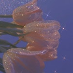 Pin on 에스더