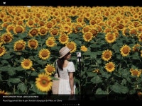 Pin page Fleurs plantes에 있는 Denise Tardif님의 핀