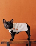 ideas para hoy에 관한 8개의 최상의 Pinterest 이미지 ideas para hoy