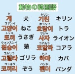 「한국어」おしゃれまとめの人気アイデア｜Pinterest｜Jinnie Kay【2022】 | 韓国語 勉強, 韓国語 勉強 ノート, 韓国語の学習