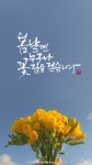봄날 캘리그라피 봄날 캘리그라피 | 행복한 봄, 봄 꽃, 아름다운 꽃