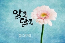 수강생 수업.작품 | 포토샵, 손글씨, 엽서