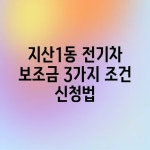 지산1동 전기차 보조금, 3가지 조건 & 신청법