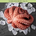 62900원 ▷ 단디프레시 한마리 데친 문어, 1.5kg, 1개 ▷