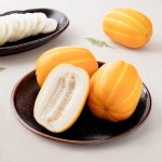 성주 꿀당도 가정용 참외 2kg(소~대) 올해 첫 출하