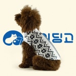 MYDINGO / 마이딩고 Visual identity design / 로고 디자인 - 반려동물과... 라는 슬로건을 내세워 전개하는 브랜드 마이딩고의 로고... 