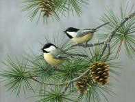 제비집1에 있는 전병각님의 핀 | 새 그림, 수채화 동물, 나무 그림