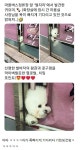 뉴스픽 화장실 간 주인 기다리는 미용실 강아지 | 강아지, 동물, 귀여운 동물