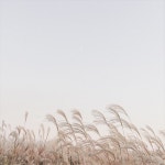 Pin by Na on 를를 ☘︎ | Landscape, Aesthetic, Sky