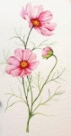 Pin page Pin by 전경희 on 천아트 in 2024 | Watercolor flowers, Watercolor paintings, Watercolor