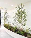 * Project : 더케이365치과의원 * Client : @miri_dds * Type : Artificial Plants * Location : 인천시 계양구 장제로 794 I N T E R S C A P E Interior... 