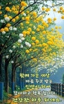동행에 있는 김숙희님의 핀 - 2025
