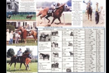 Horses에 관한 166개의 최상의 Pinterest 이미지 | 말, 승마 및 아름다운 말 Horses