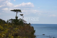 유토이미지 | 강원도 낙산사 강원도 낙산사  게울박쥐, 사진, 낙산사, 강원도, 양양, 바다, 해변, 바위, 의상대, 소나무, 하늘, 정자, 섬, 풍경, 자연... 