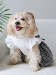 1pc Plaid Print Pet Dress For Cat And Dog For Summer 1pc Plaid Print Pet Dress For Cat And Dog For Summer | 애완동물 의류, 투투... 