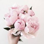 Pin by Esther Lee on 미니 정원 | Pretty flowers, Beautiful flowers, Bloom